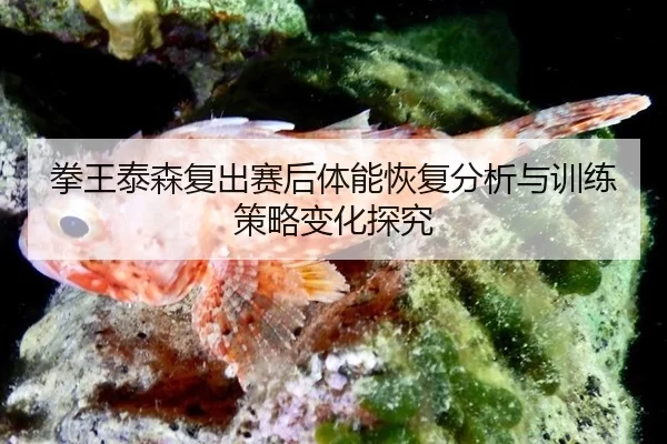 quan-wang-tai-sen-fu-chu-sai-hou-ti-neng-hui-fu-fen-xi-yu-xun-lian-ce-lve-bian-hua-tan-jiu-2-932.jpg